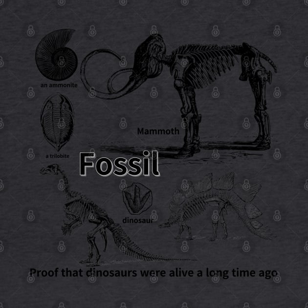 fossil, Proof that dinosaurs were alive a long time ago, dinosaur, an ammonite, a trilobite by zzzozzo